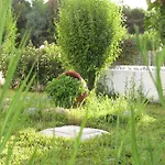 Apartment Greek Islands Kardamena (Kos)