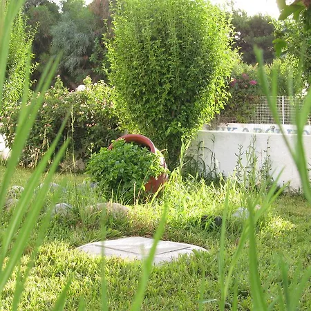 Apartament Greek Islands Kardamena (Kos)