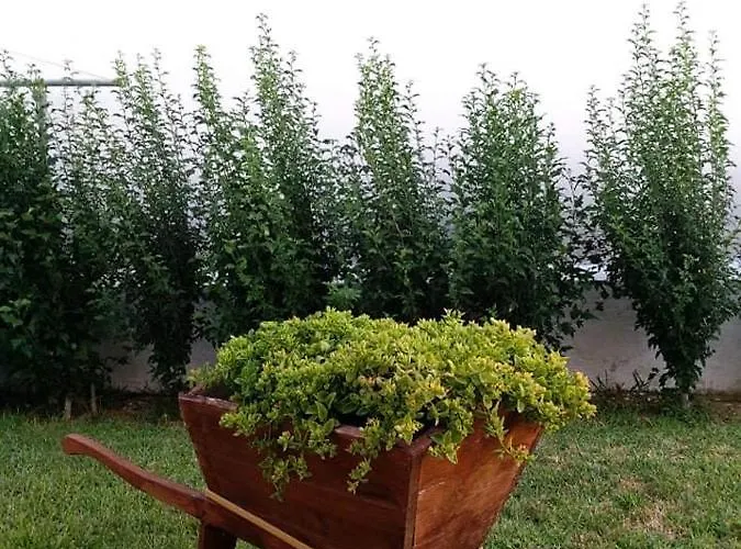 Greek Islands Appartamento *