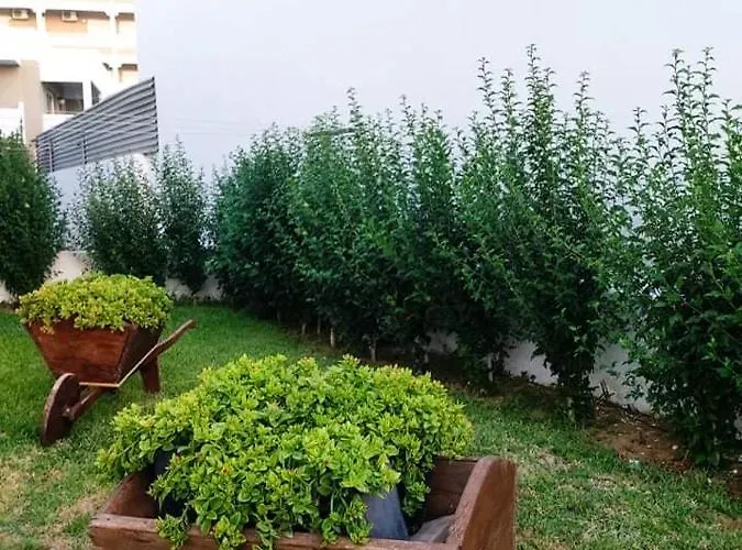 Apartman Greek Islands Kardamena (Kos)